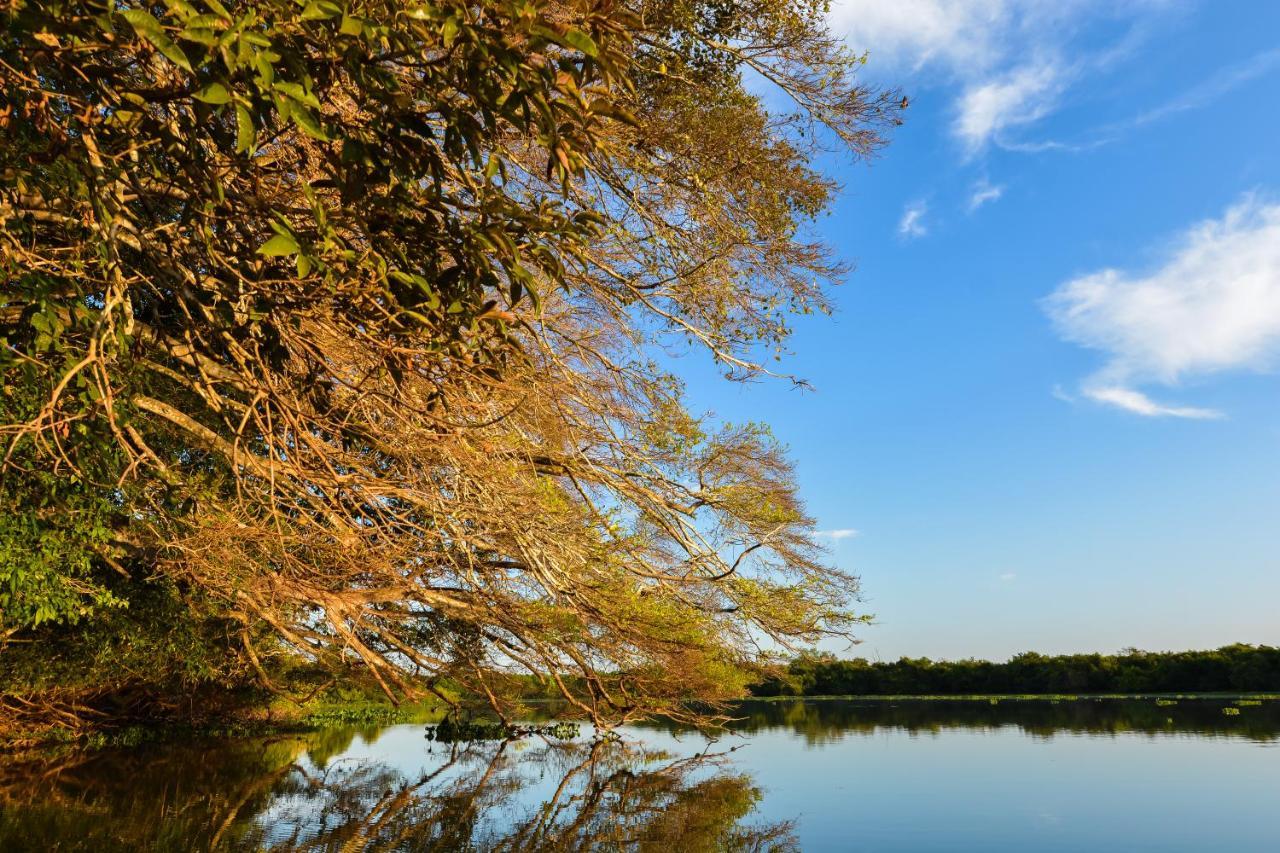 Pousada Rio Claro Poconé Екстериор снимка